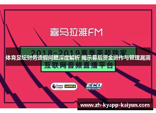 体育足坛财务造假问题深度解析 揭示幕后资金运作与管理漏洞