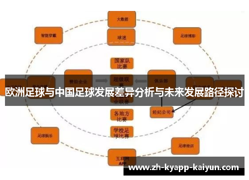 欧洲足球与中国足球发展差异分析与未来发展路径探讨