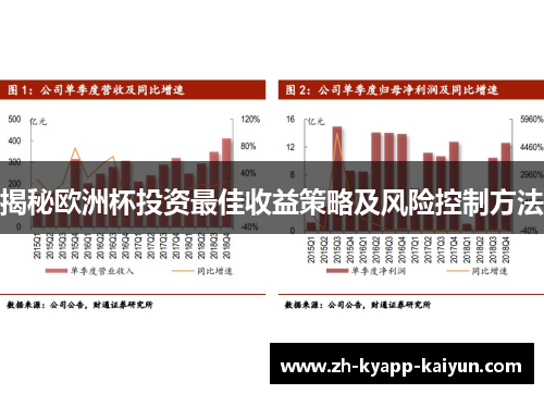 揭秘欧洲杯投资最佳收益策略及风险控制方法
