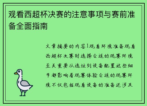 观看西超杯决赛的注意事项与赛前准备全面指南